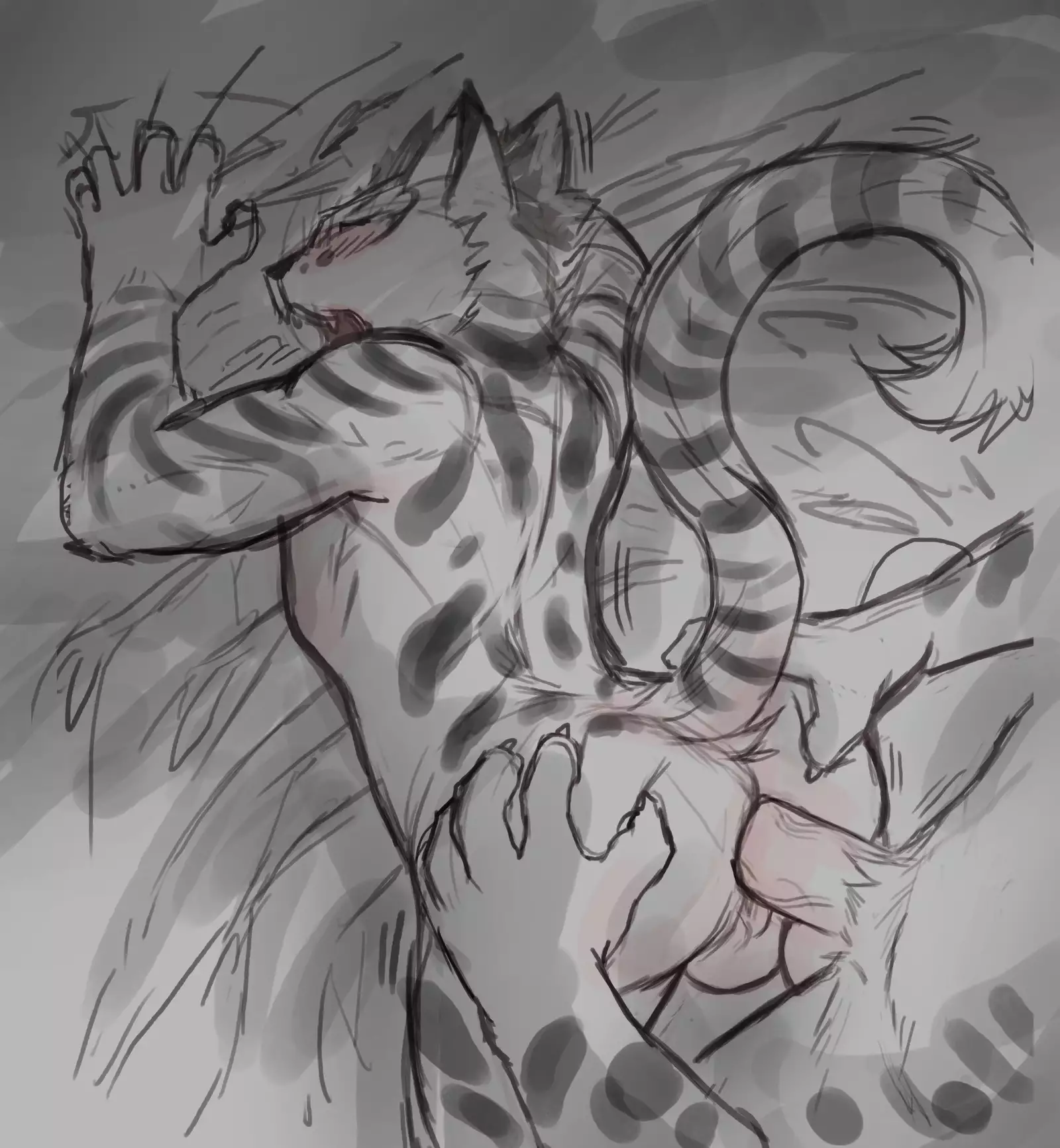 Nekojishi December 2017 Package Reward