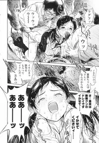 [H-magic] Wild Berry