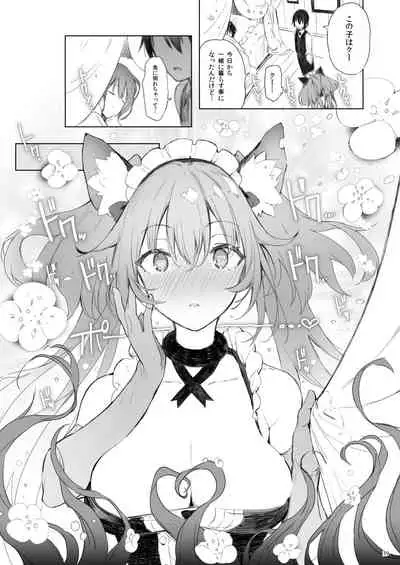 Current Storage Collection 1