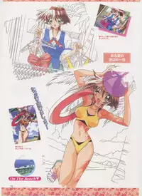 Virtuacall Series - Illustration & Datafile