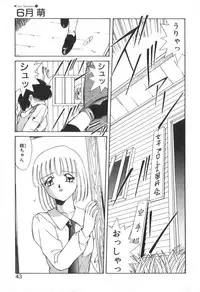 [Akifuji Satoshi] Four Seasons