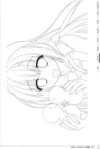 Pure x Connect illustration art book