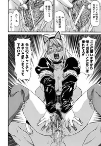 [Nagare Ippon] Parabellum 2