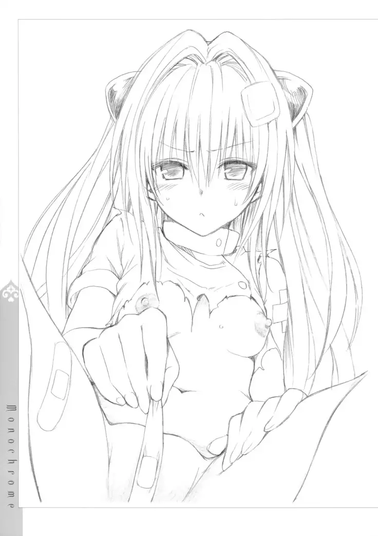 To Love-Ru -Trouble- Darkness Artbook Harem Gold