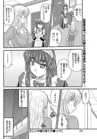 [Nanami Shizuka] Tadashii Reijou no Sodatekata Ch. 1-8