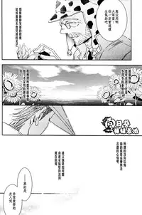 [JOJO][JC]Stelle[CN]