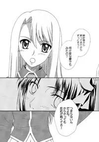 (C71) [Angel Red (Kawashima Mitsuha)] Promised land (Fate/hollow ataraxia)