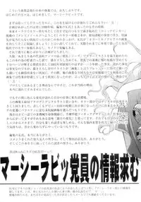 [Mercy Rabbit] In Vision