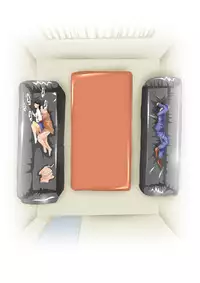 [N-Graphic] Hello My Second Love (Kindaichi Shounen no Jikenbo)