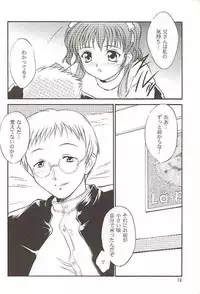 (C56) [Yakan Hikou (Inoue Tommy)] Salvia remix CHRONIC LOVE (White Album)