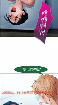 [Studio Gale] Lady Garden 淑女花苑 第一季 [Chinese]