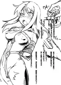 [Nyanko no Me (Tamakko)] 2nd Skin Soushuuhen (Touhou Project) [Digital]