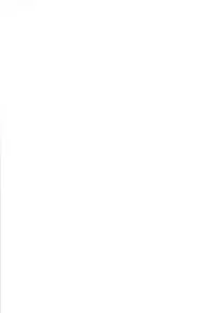 (C85) [Tanmatsu Ijou (BadHand)] Souko no Tobari Sono ni