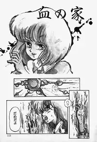 [Shinden Mako] The Riddle