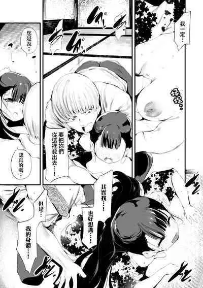 Shinme Tori - symmetry