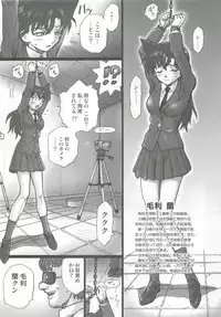 (C81) [Rat Tail (Irie Yamazaki)] TAIL-MAN RAN MOURI BOOK (Detective Conan)