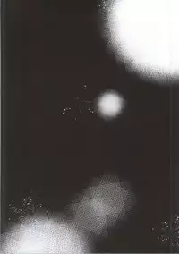 (Mitsudol 10) [NIGHT FUCKERS (Various)] Gakuen Otome (Sengoku Otome)