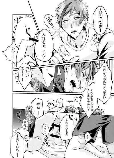 Shoya wa Shippai Suru to Iu Keredo