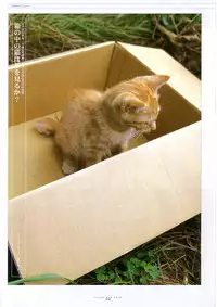 Suigetsu Visual Fan Book