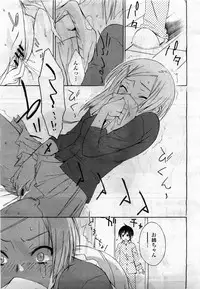 COMIC Momohime 2010-04 Vol. 114