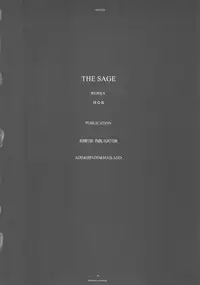 (CR37) [R-WORKS (ROS)] THE SAGE (Fate/stay night)