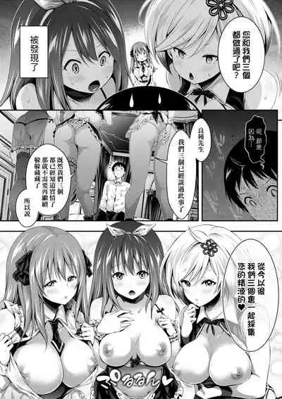 Harem Maid no Damedame Ecchi | 我與後宮女僕們♥不可告人的情事