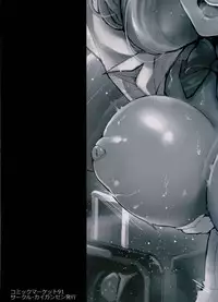 (C91) [Kaigansen (Sakagami Umi)] GalPa! 2