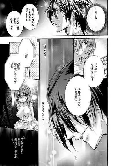 鬼畜兄弟の悶絶調教～私はいいなり奴隷～