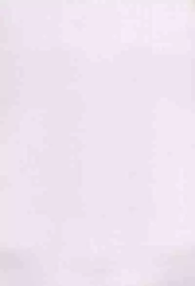 Tsuchinoko no Chinchin Tengoku Shasei Jigoku