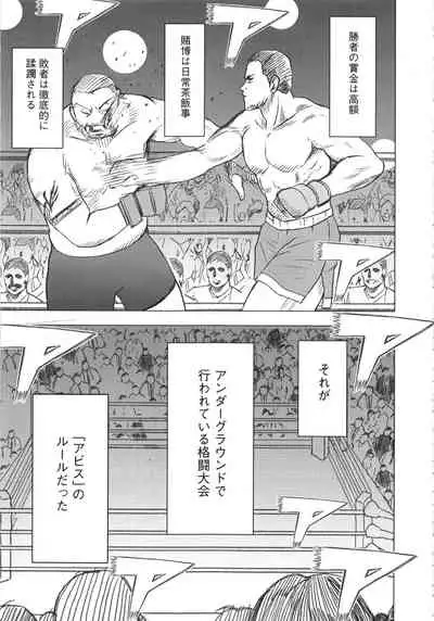 Girls Fight Kanzenban