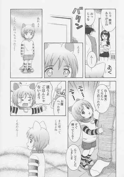 Miseijuku Shoujo Zukan