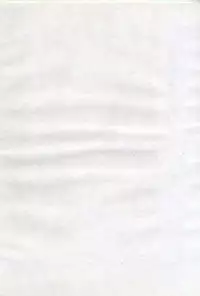 [Kazusa Shima] Ningyou-tachi no Hakuchuumu