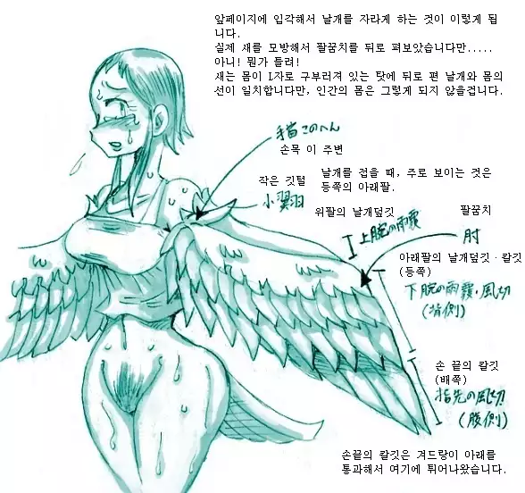 Study and practice about bird TF