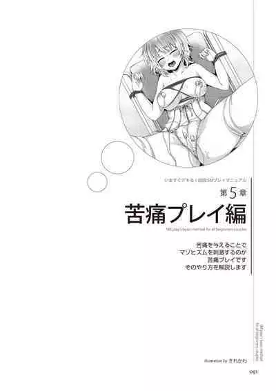 いますぐデキる 図説SMプレイマニュアル