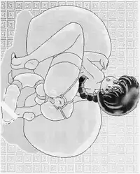 [KEBERO Corporation (Shimokata Kouzou)] Hanjyuuryoku XII (Various)