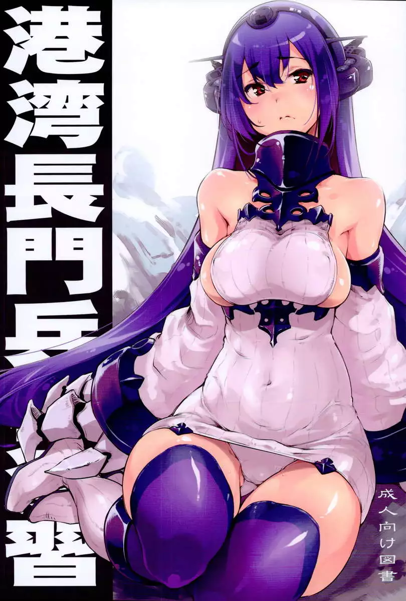 Seaport Nagato Military Simulation