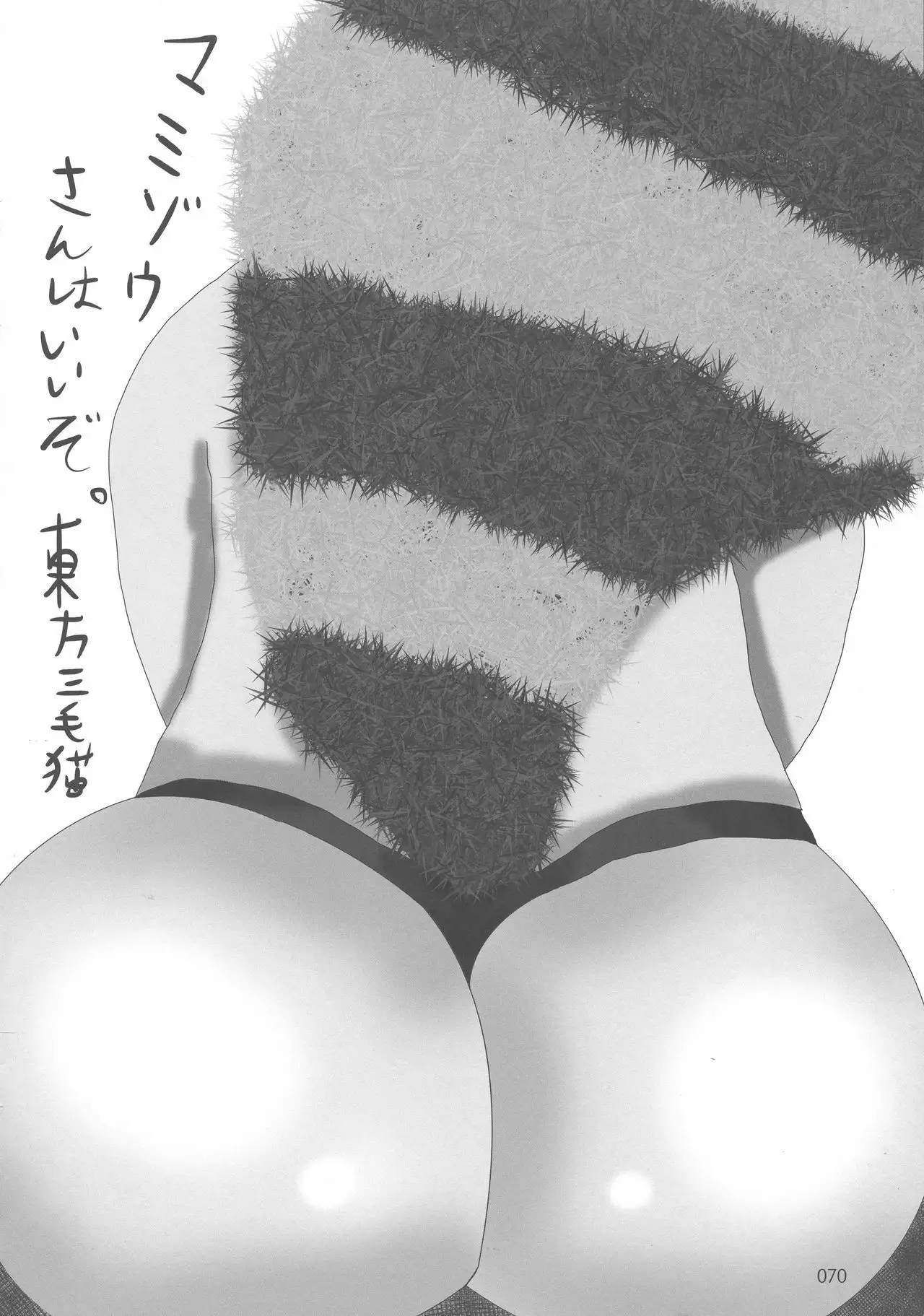 Touhou Oniku Goudou-san