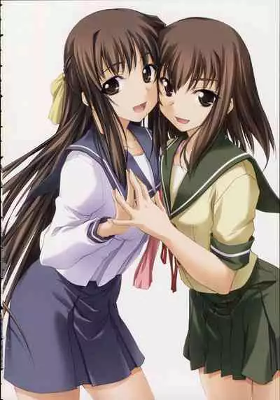 Shin Ringetsu Visual Fanbook