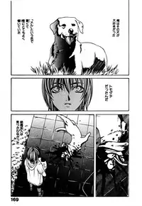 [Hanazawa Rena] Paranoid