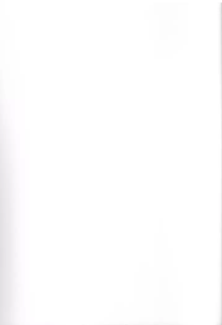 Virgin na Wolf nante Kowaku nai