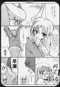 (C69) [TAROTS (Sawano Akira)] THE EMPRESS (Fate/hollow ataraxia)