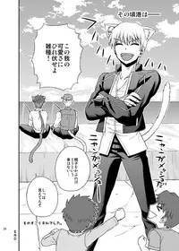 [TEKETO (Sanada)] Nyan Nyan Network (Fate/stay night) [Digital]