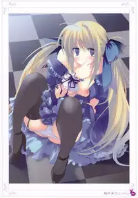 [Rabbit] habit net chronicles 2nd volume