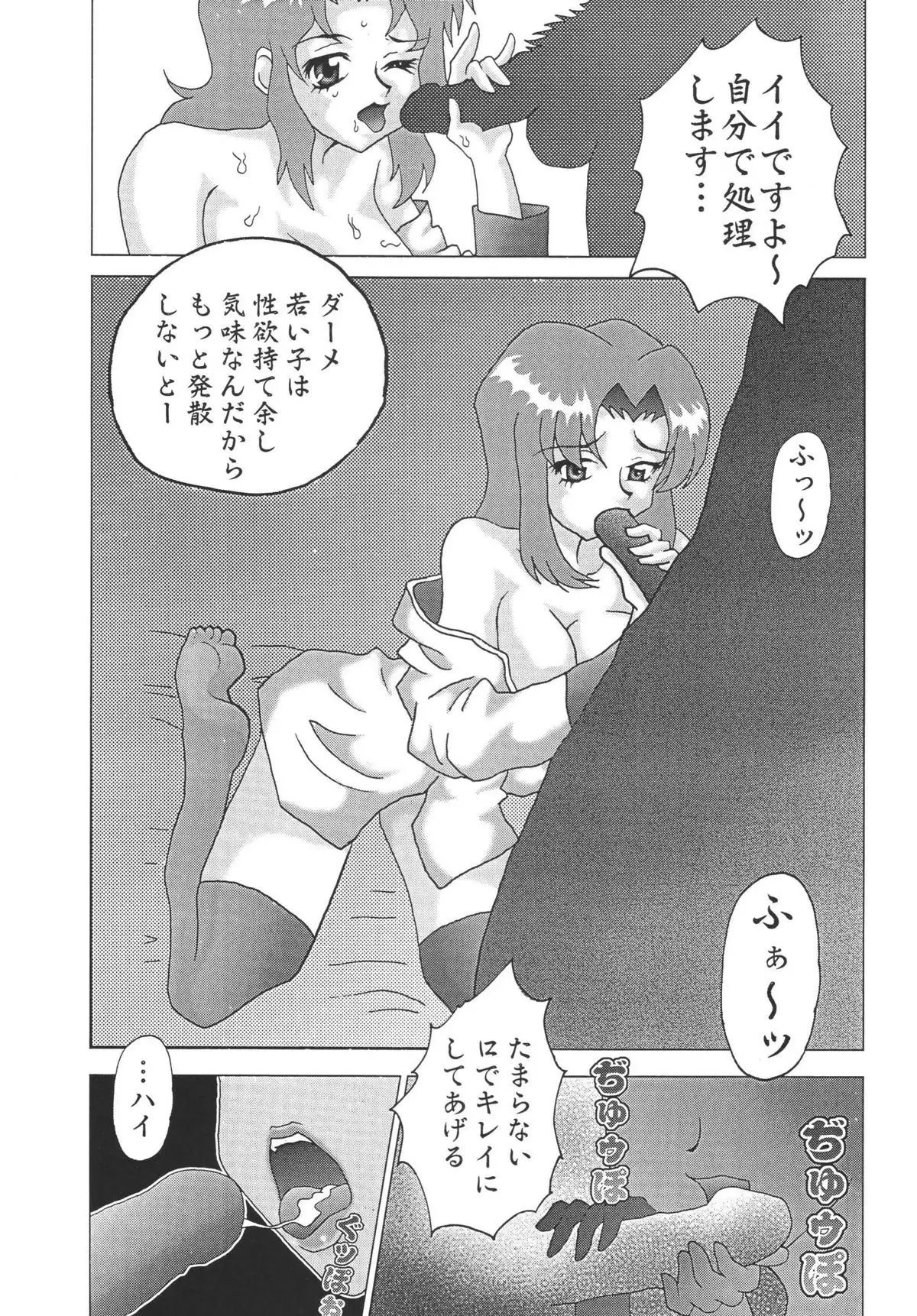 NEXT Climax Magazine 14 GUNDAM SEED ONLY