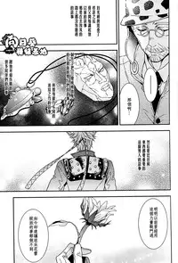 [JOJO][JC]Stelle[CN]