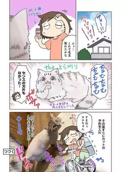 COMIC Ananga Ranga Vol. 76