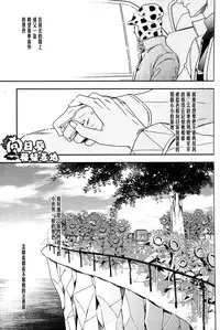 [JOJO][JC]Stelle[CN]