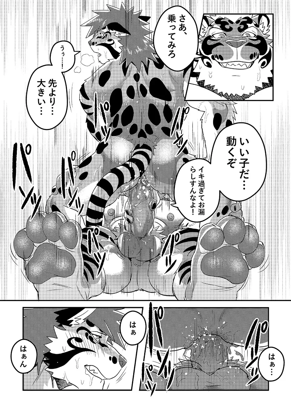 Nekojishi EXTRA