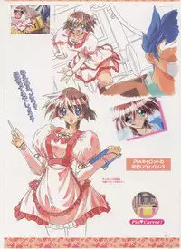 Virtuacall Series - Illustration & Datafile