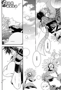 [JOJO][JC]Stelle[CN]